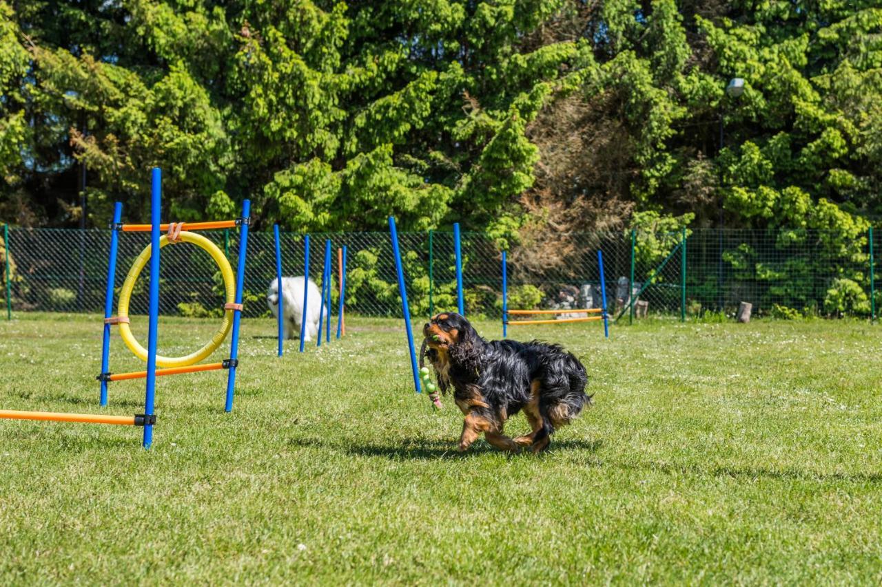 Domy Morskie Dog Friendly Янтар Экстерьер фото