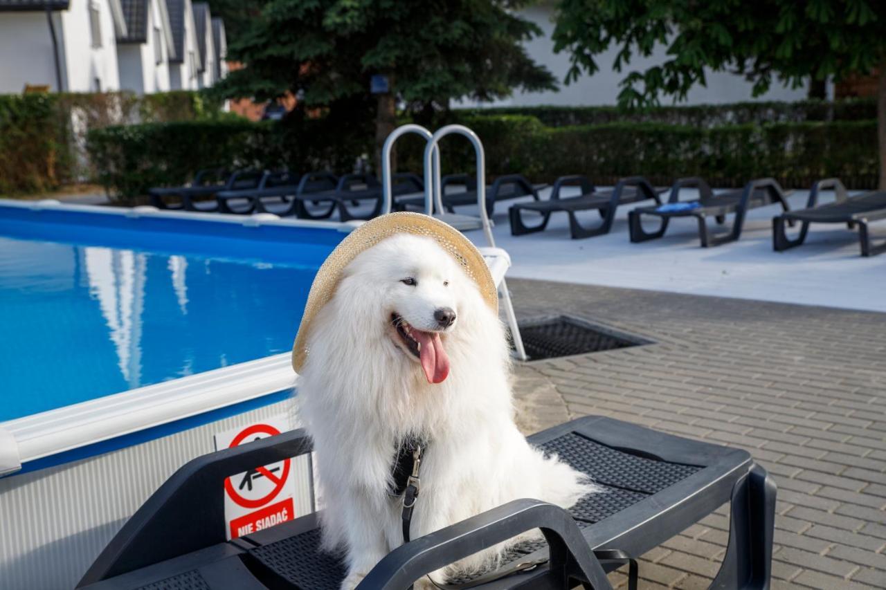 Domy Morskie Dog Friendly Янтар Экстерьер фото