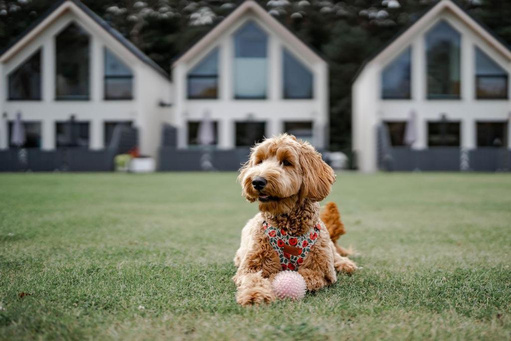 Domy Morskie Dog Friendly Янтар Экстерьер фото
